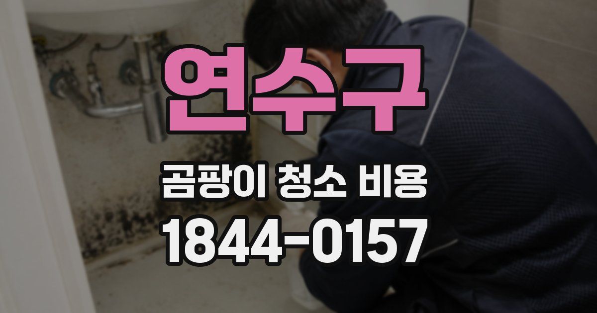 연수구 곰팡이 청소 비용