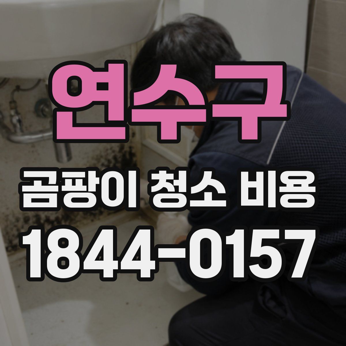 연수구 곰팡이 청소 비용