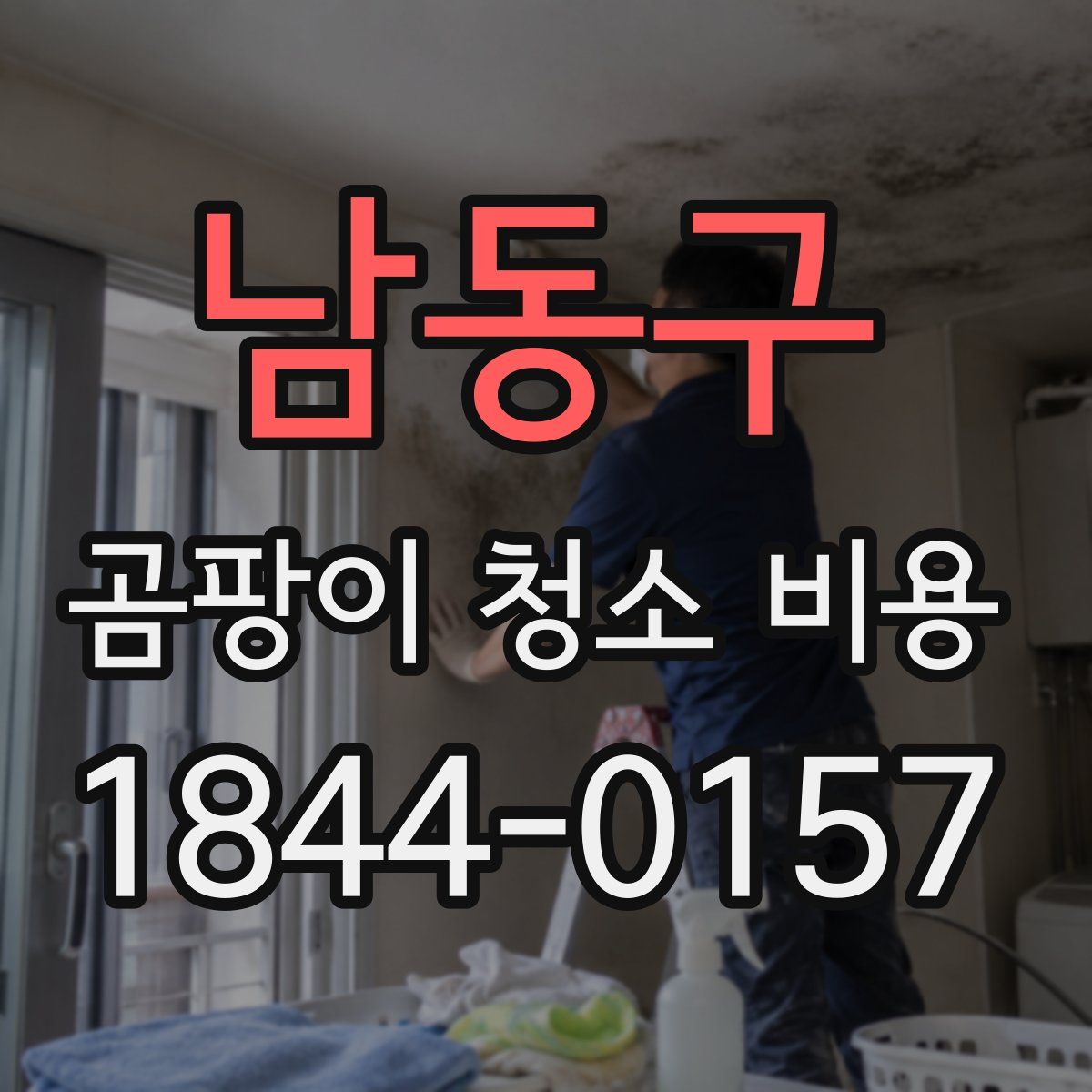 남동구 곰팡이 청소 비용
