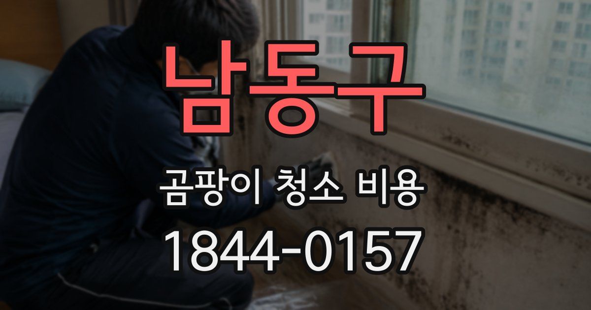 남동구 곰팡이 청소 비용
