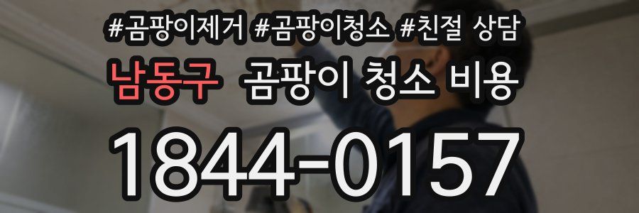 남동구 곰팡이 청소 비용