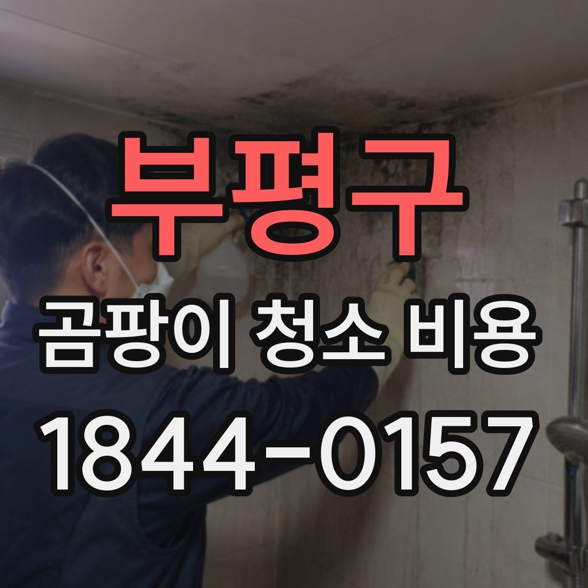 부평구 곰팡이 청소 비용 예상이 어려운 대표적인 경우