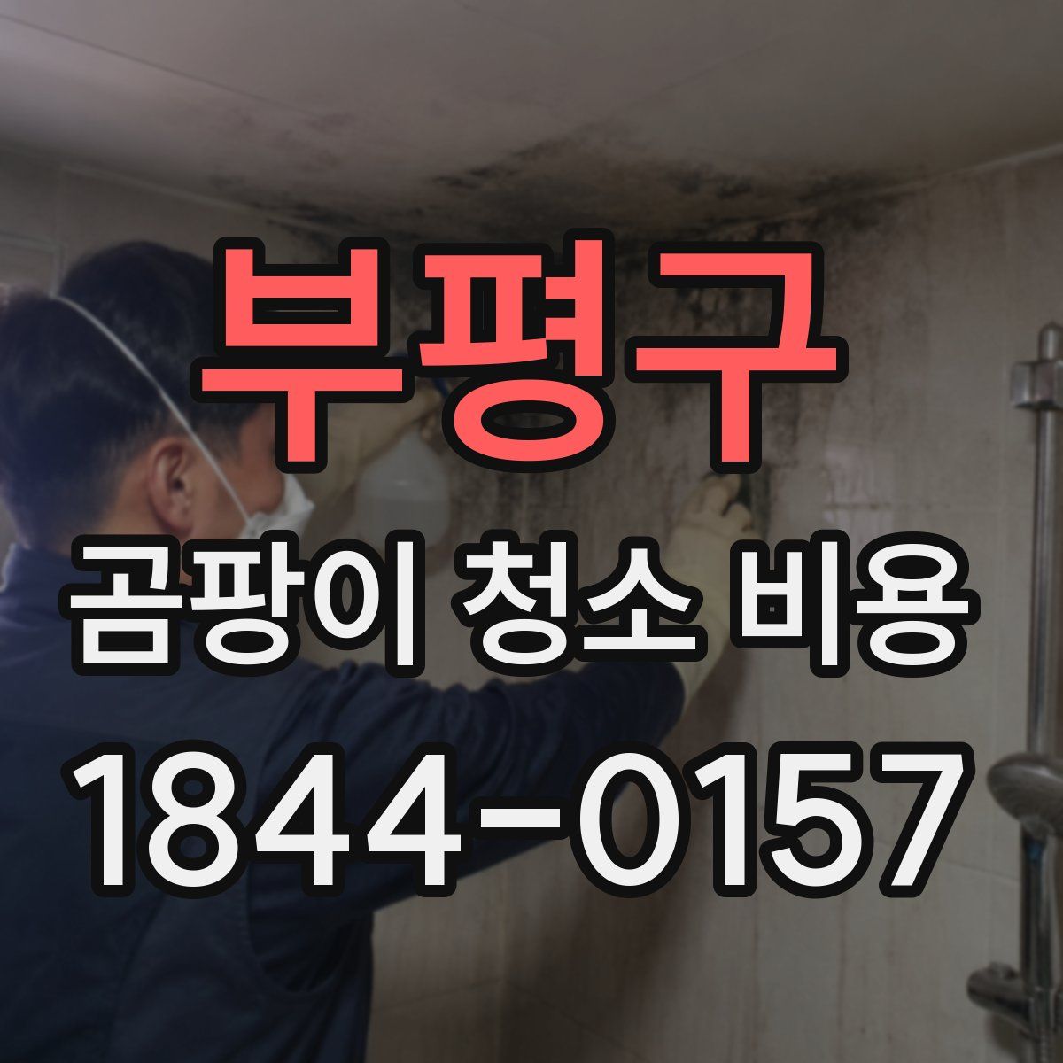 부평구 곰팡이 청소 비용