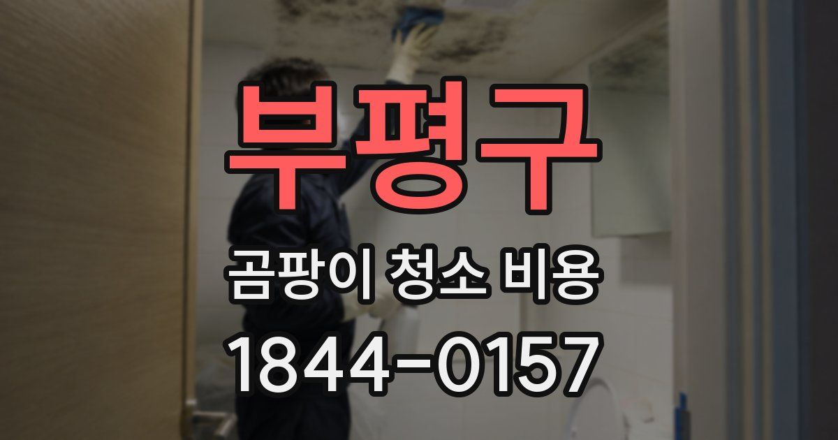 부평구 곰팡이 청소 비용