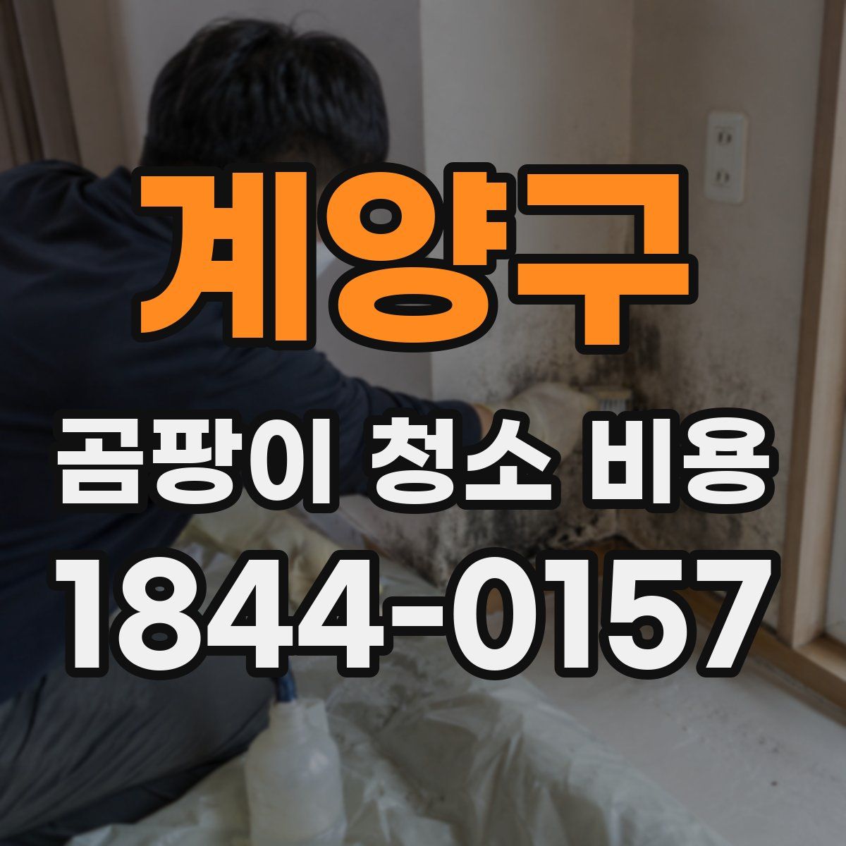 계양구 곰팡이 청소 비용