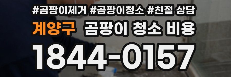 계양구 곰팡이 청소 비용