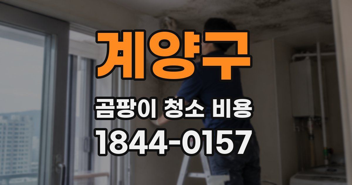 계양구 곰팡이 청소 비용