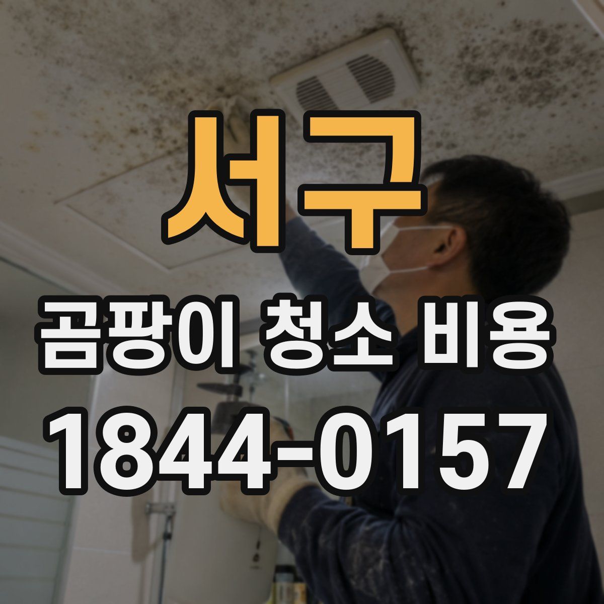 서구 곰팡이 청소 비용