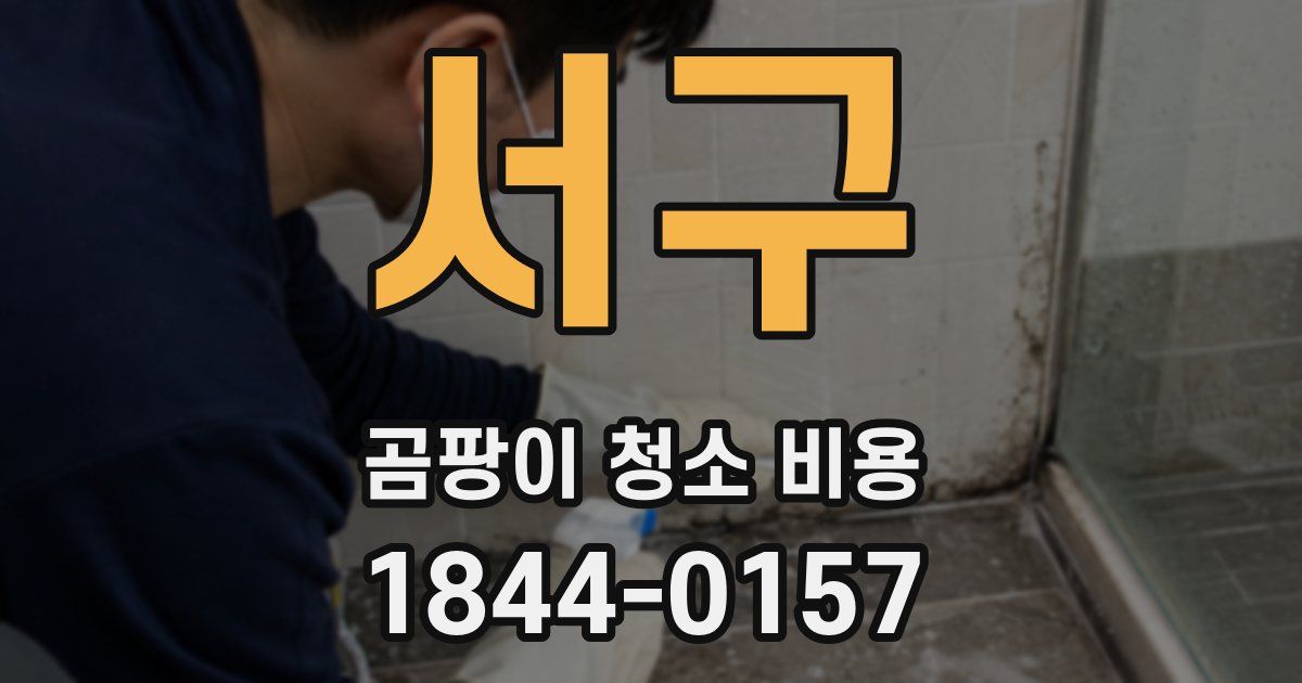 서구 곰팡이 청소 비용