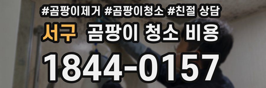 서구 곰팡이 청소 비용