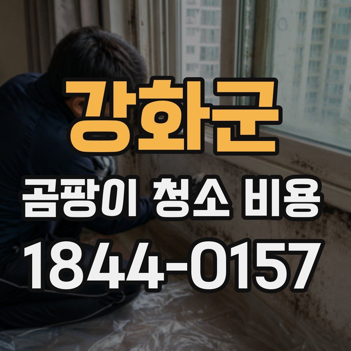 강화군 곰팡이 청소 비용 견적을 받을 때 살펴볼 항목
