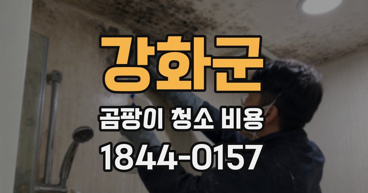 강화군 곰팡이 청소 비용