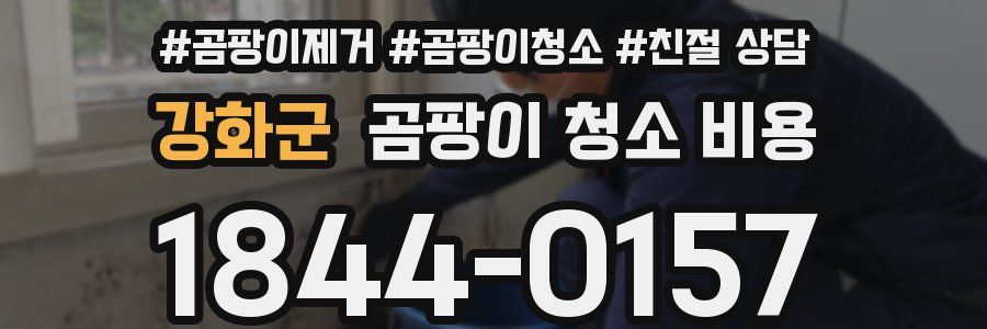 강화군 곰팡이 청소 비용