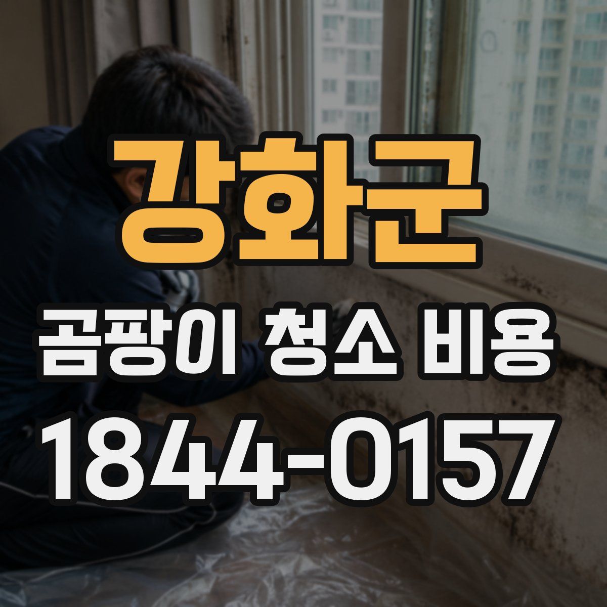 강화군 곰팡이 청소 비용
