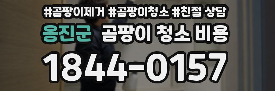 옹진군 곰팡이 청소 비용