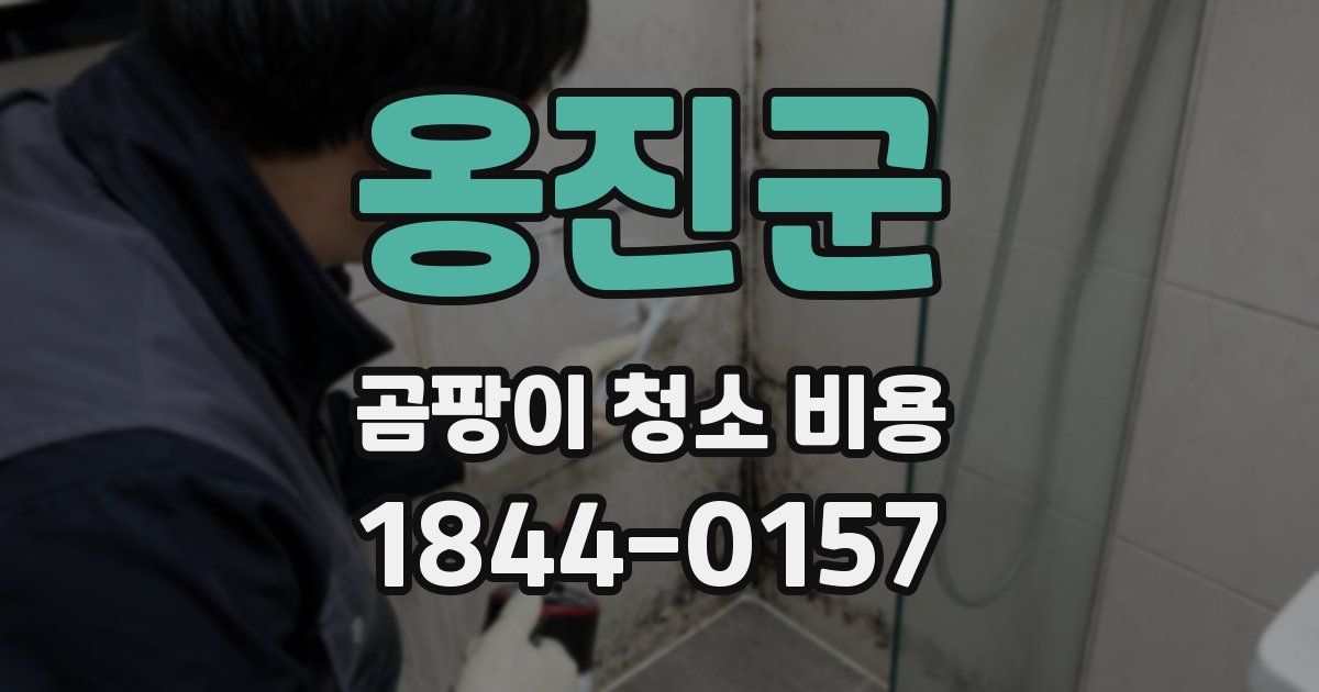 옹진군 곰팡이 청소 비용