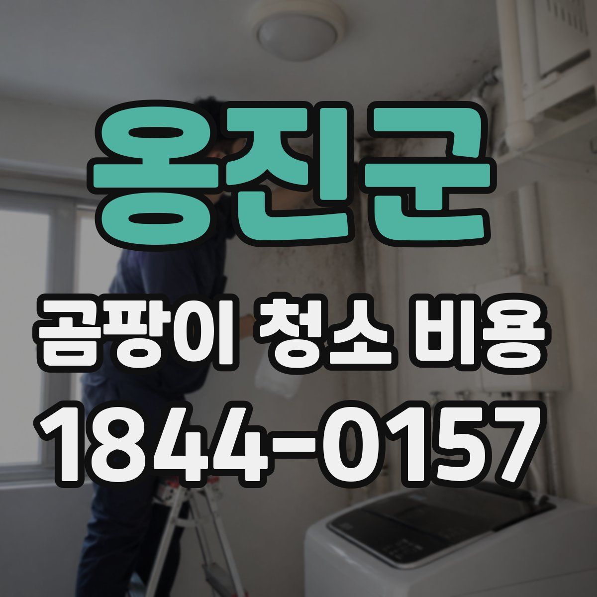옹진군 곰팡이 청소 비용