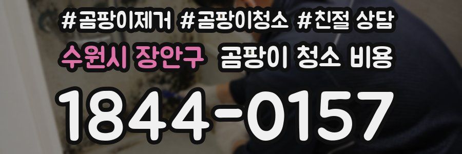 수원시 장안구 곰팡이 청소 비용