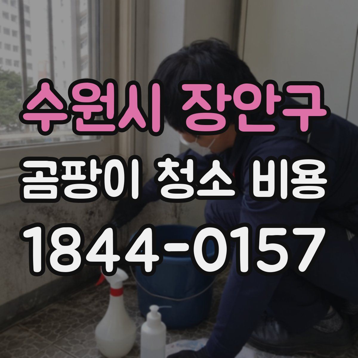 수원시 장안구 곰팡이 청소 비용