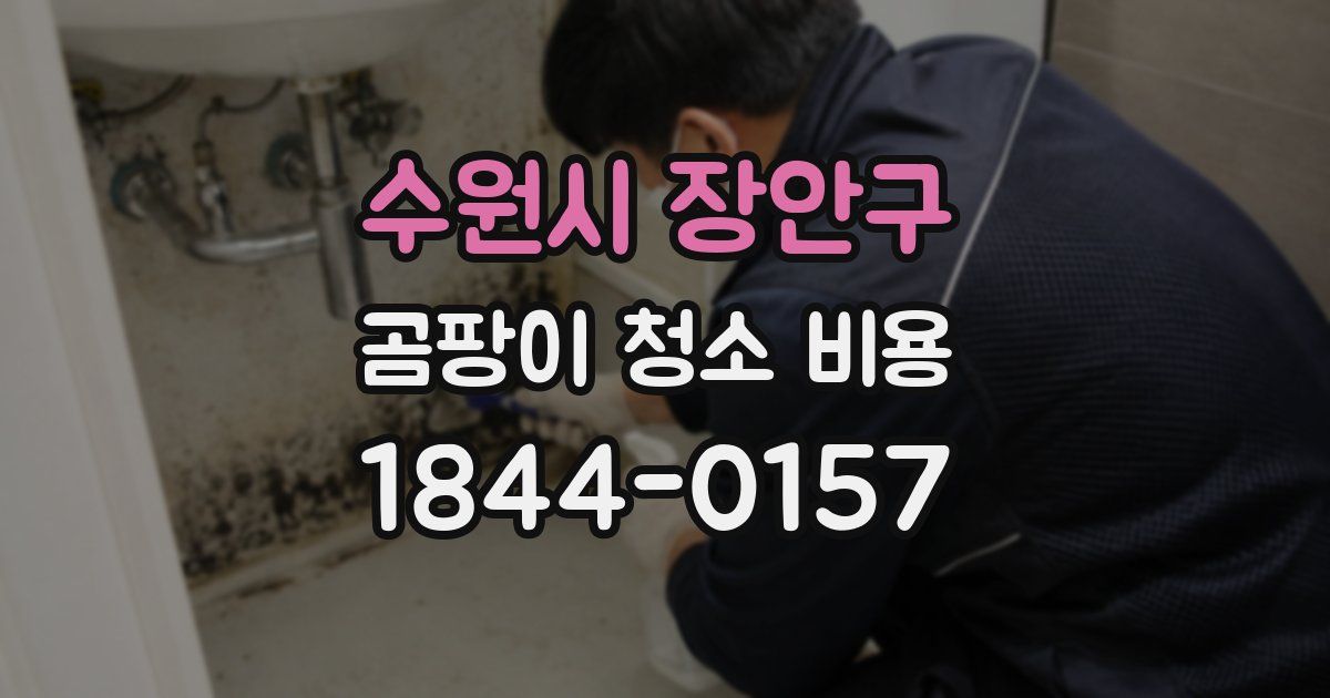 수원시 장안구 곰팡이 청소 비용