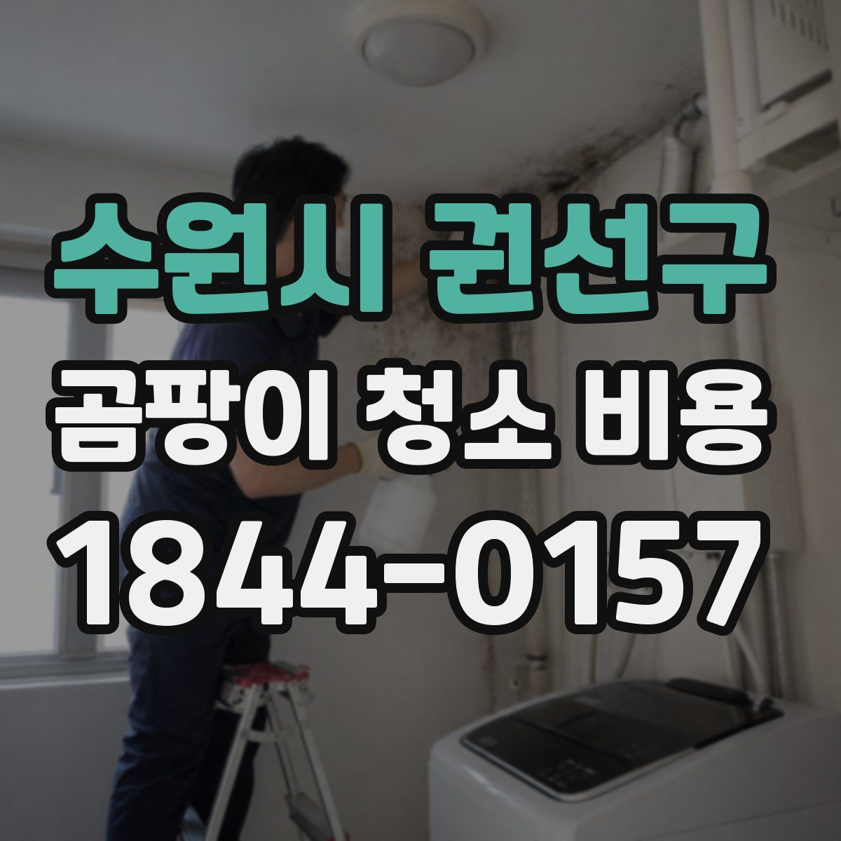수원시 권선구 곰팡이 청소 비용