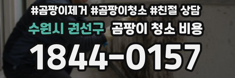 수원시 권선구 곰팡이 청소 비용
