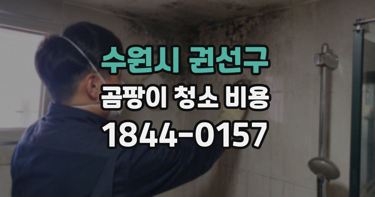 수원시 권선구 곰팡이 청소 비용