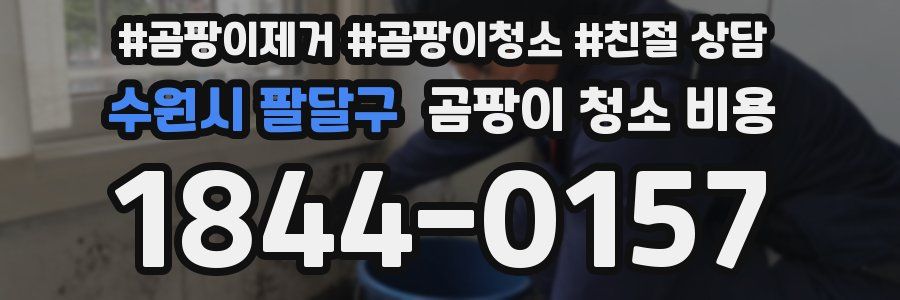 수원시 팔달구 곰팡이 청소 비용