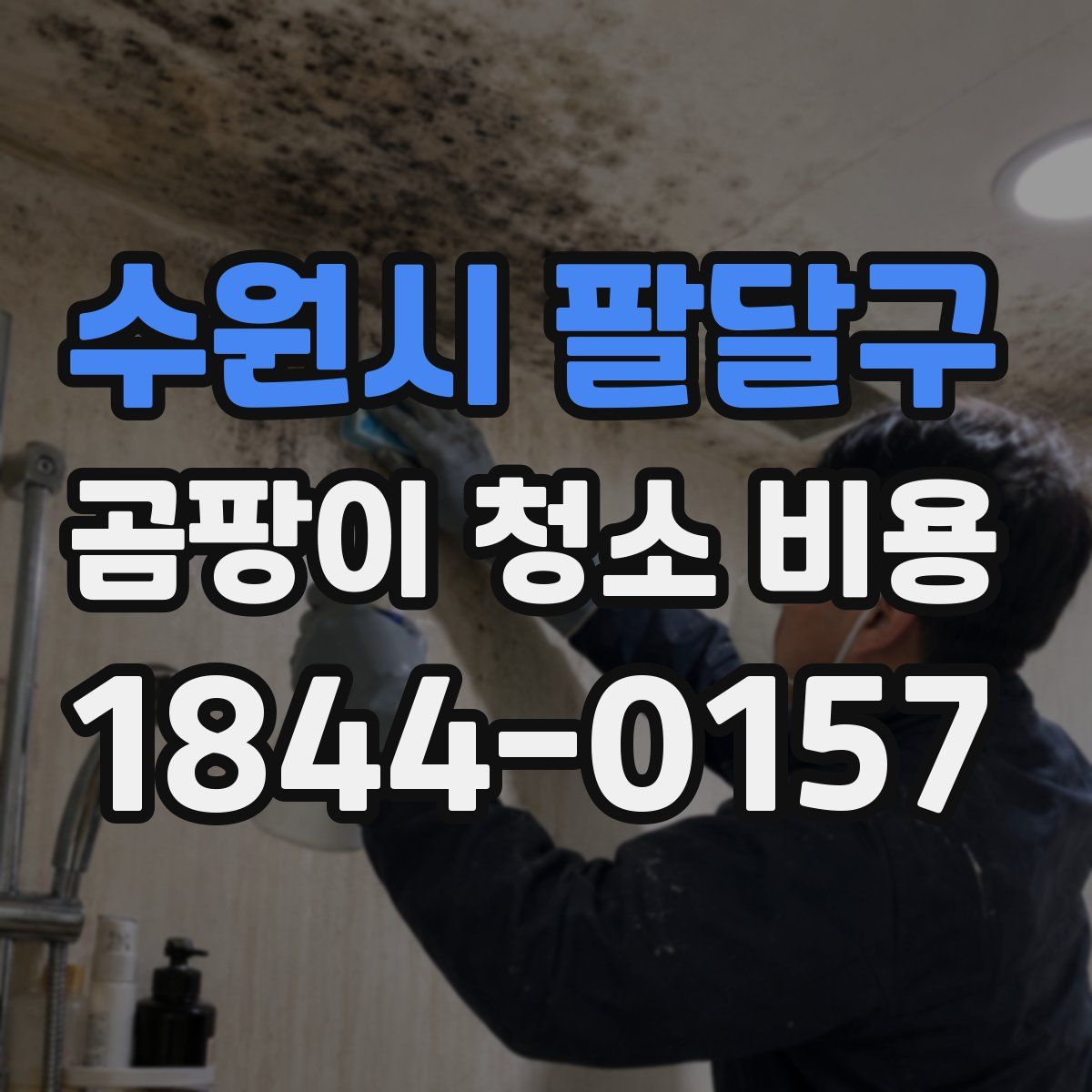 수원시 팔달구 곰팡이 청소 비용
