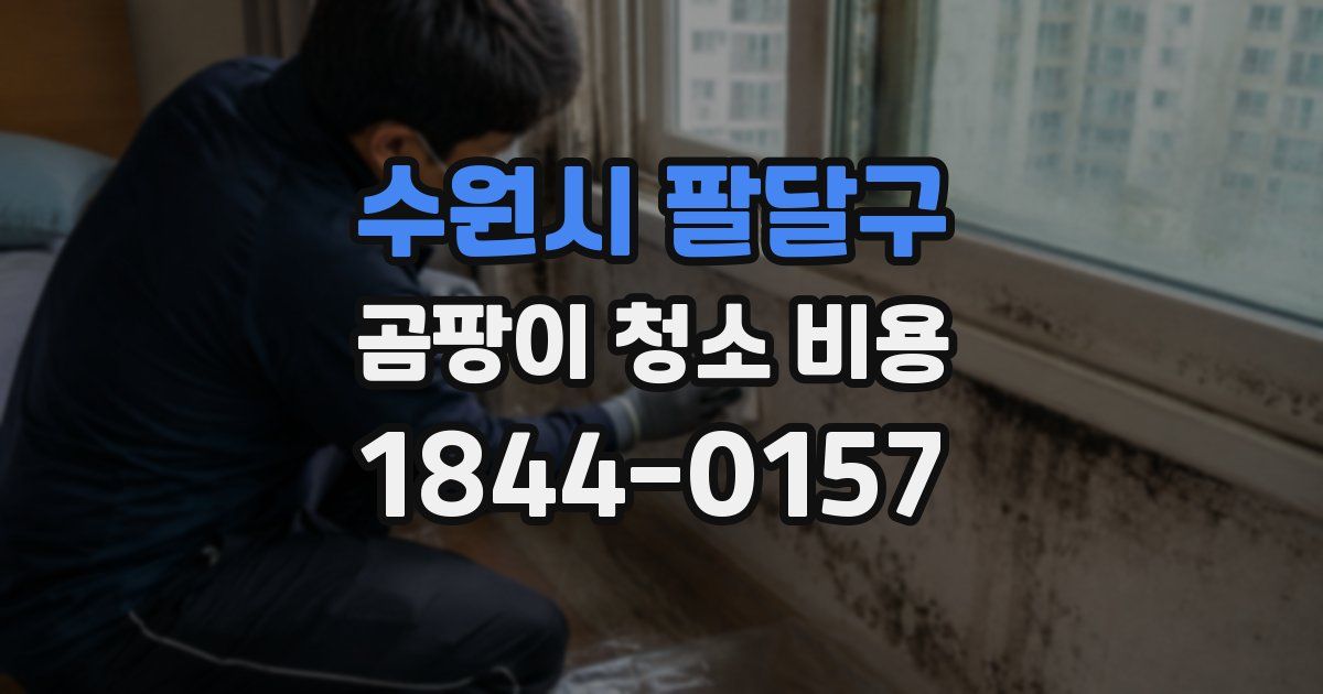 수원시 팔달구 곰팡이 청소 비용