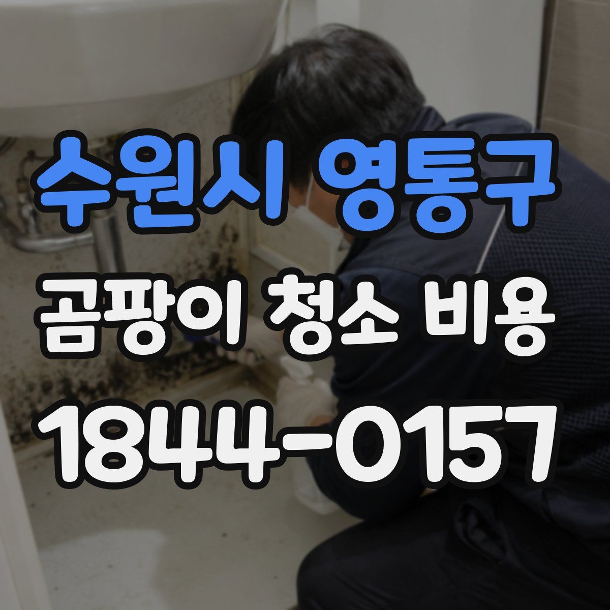 수원시 영통구 곰팡이 청소 비용