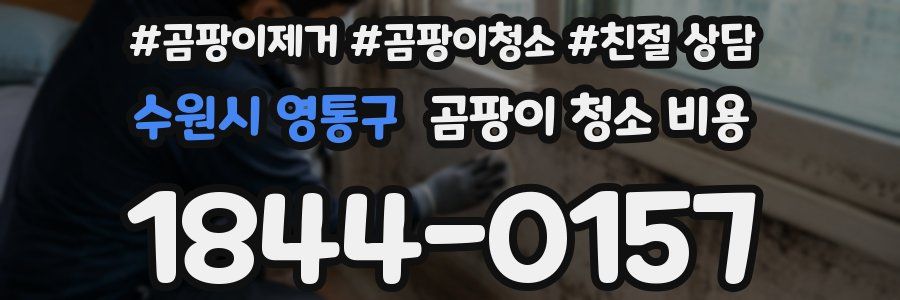 수원시 영통구 곰팡이 청소 비용