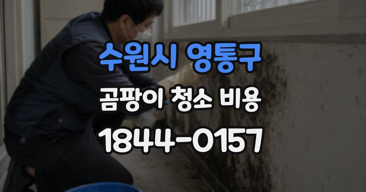 수원시 영통구 곰팡이 청소 비용
