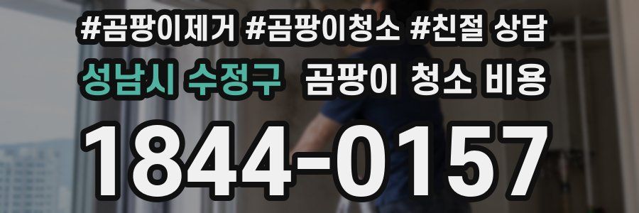 성남시 수정구 곰팡이 청소 비용