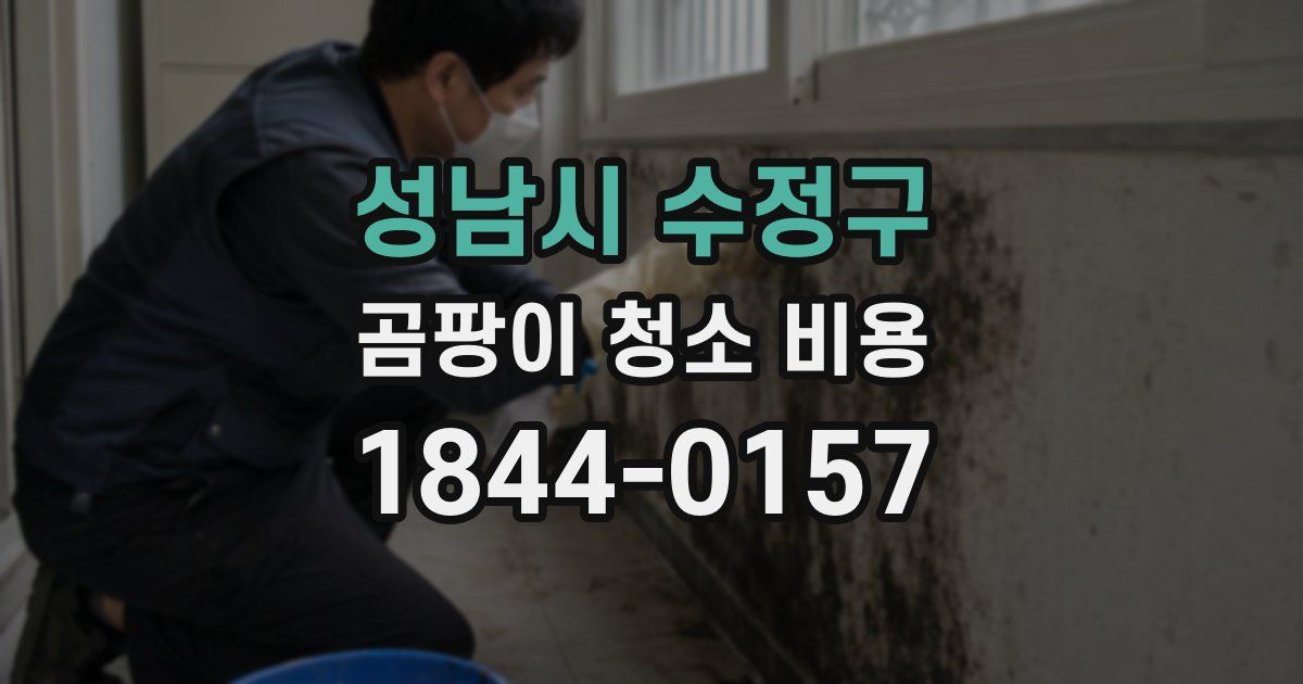 성남시 수정구 곰팡이 청소 비용