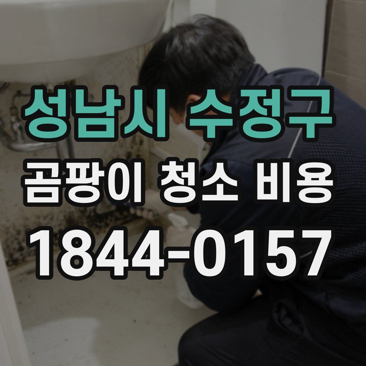 성남시 수정구 곰팡이 청소 비용