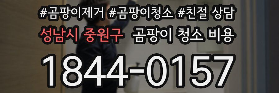 성남시 중원구 곰팡이 청소 비용