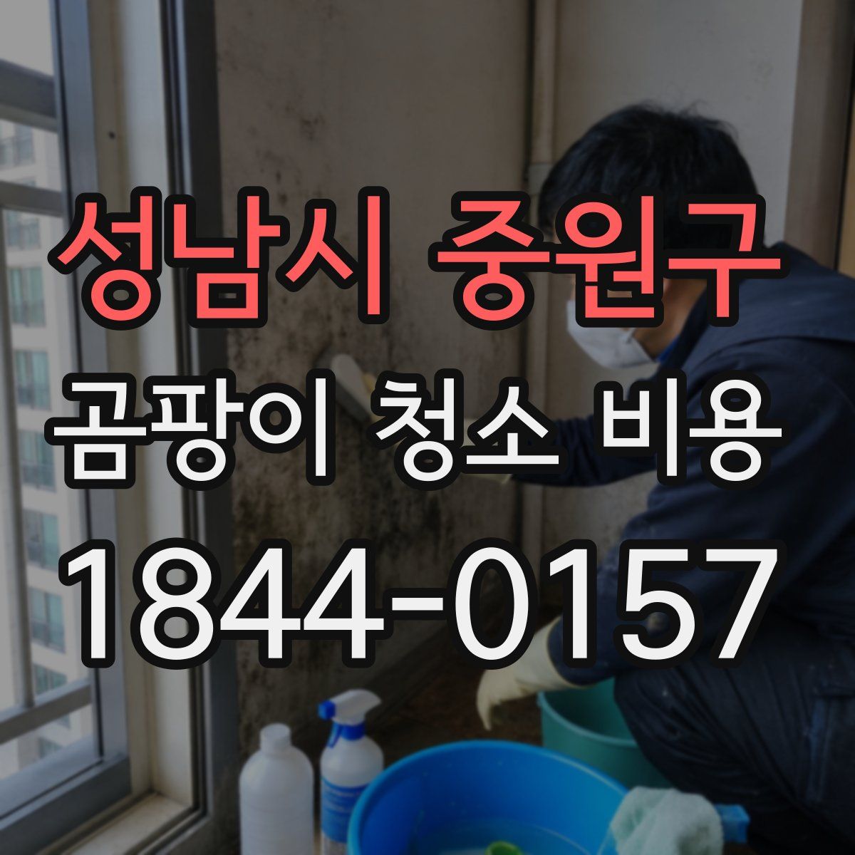 성남시 중원구 곰팡이 청소 비용