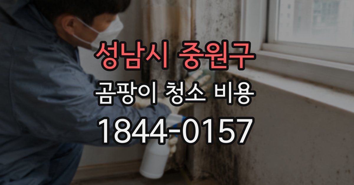 성남시 중원구 곰팡이 청소 비용