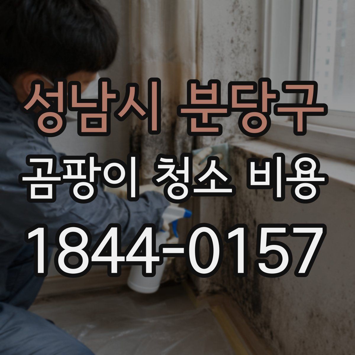 성남시 분당구 곰팡이 청소 비용 문의 전에 정리하면 좋은 정보