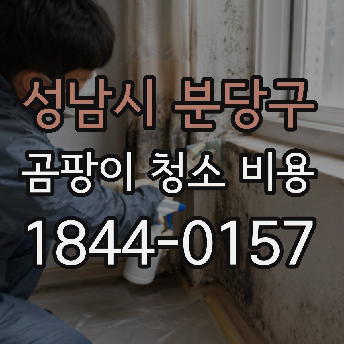 성남시 분당구 곰팡이 청소 비용