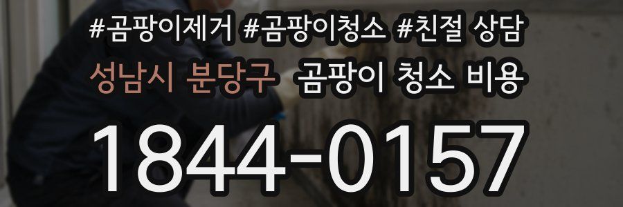 성남시 분당구 곰팡이 청소 비용