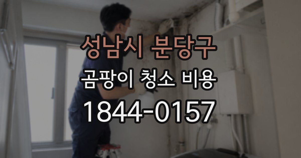 성남시 분당구 곰팡이 청소 비용
