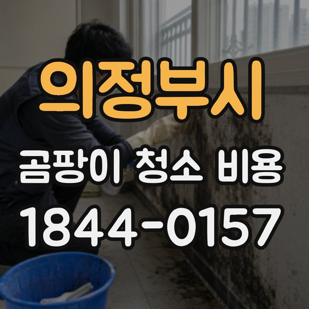 의정부시 곰팡이 청소 비용