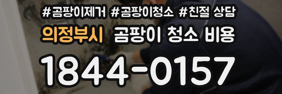 의정부시 곰팡이 청소 비용