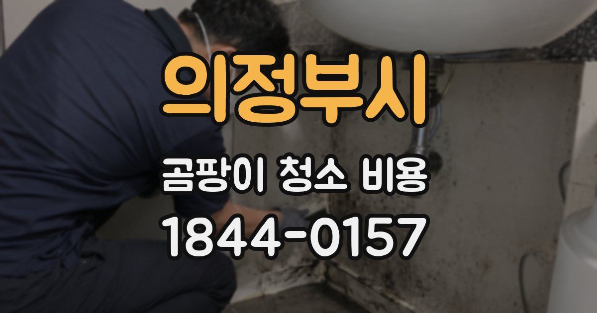 의정부시 곰팡이 청소 비용