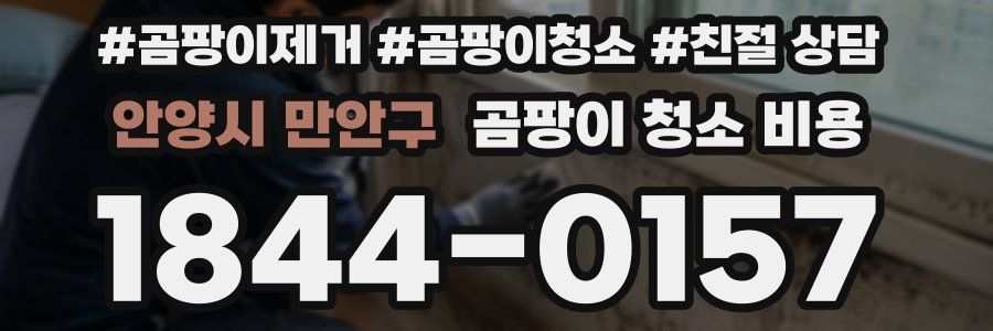 안양시 만안구 곰팡이 청소 비용