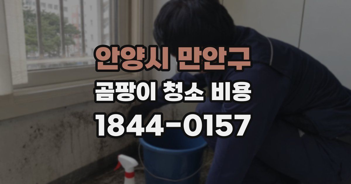 안양시 만안구 곰팡이 청소 비용