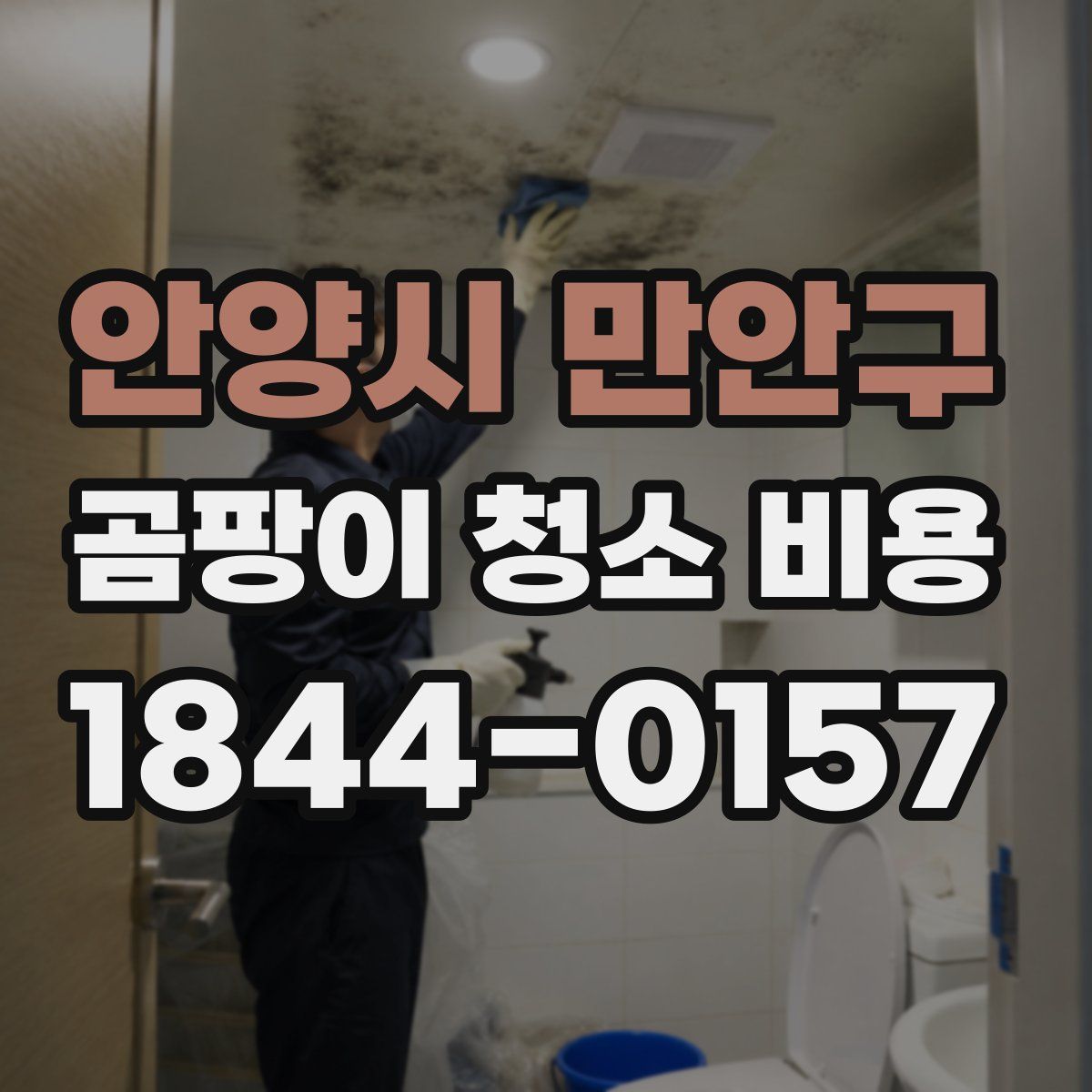 안양시 만안구 곰팡이 청소 비용
