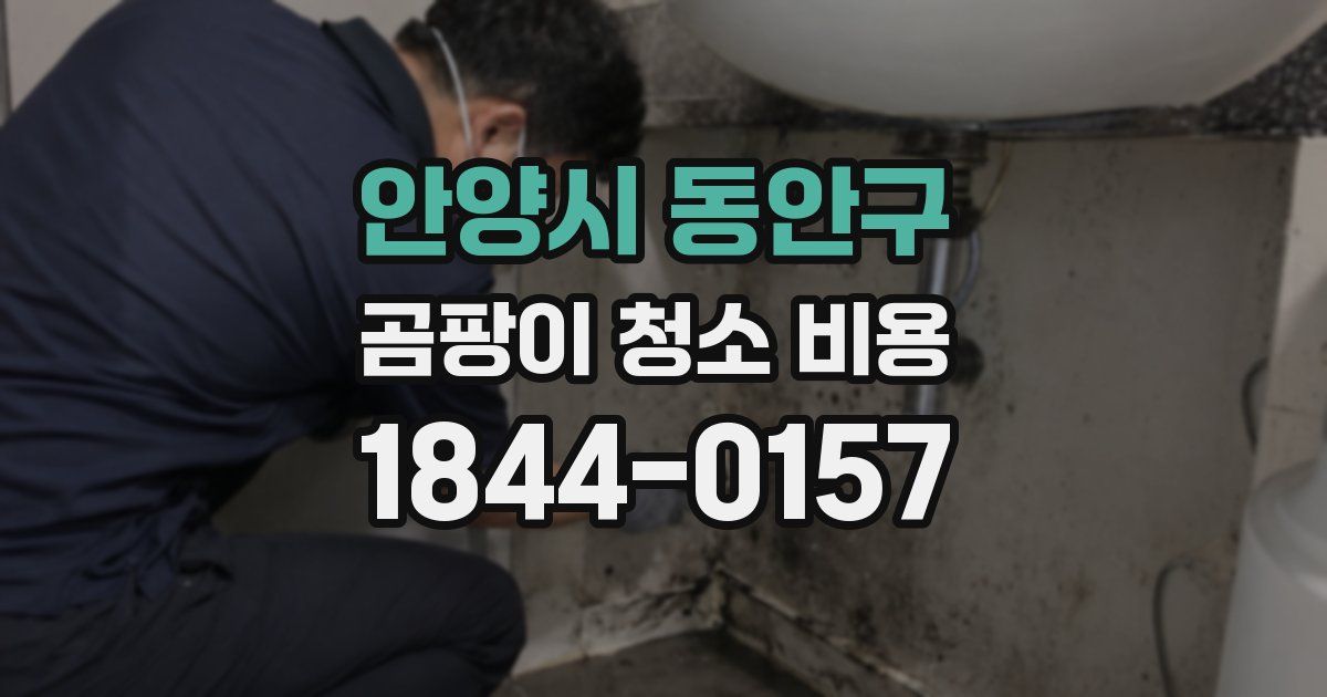 안양시 동안구 곰팡이 청소 비용